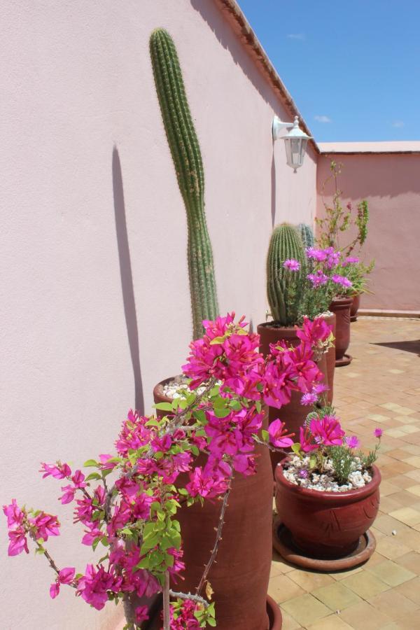 Riad El Arco Rooftop Pool & Spa Hotell Marrakesh Exteriör bild